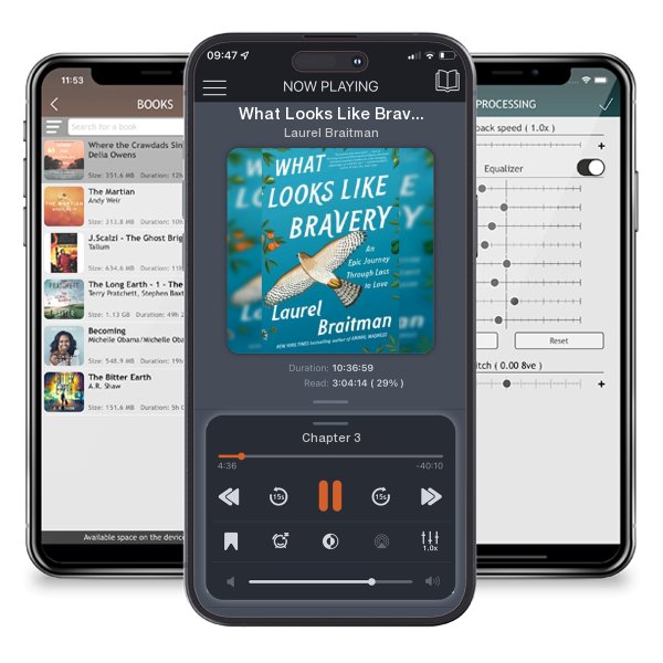 Download fo free audiobook What Looks Like Bravery: An Epic Journey Through Loss to Love by Laurel Braitman and listen anywhere on your iOS devices in the ListenBook app.