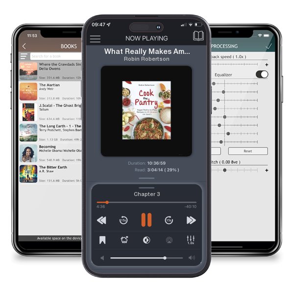 Download fo free audiobook What Really Makes America Great by Robin Robertson and listen anywhere on your iOS devices in the ListenBook app.