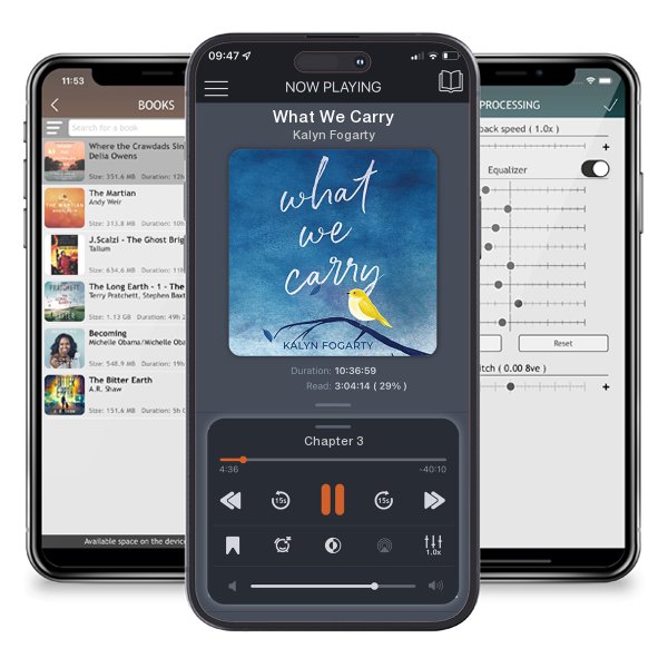 Download fo free audiobook What We Carry by Kalyn Fogarty and listen anywhere on your iOS devices in the ListenBook app.