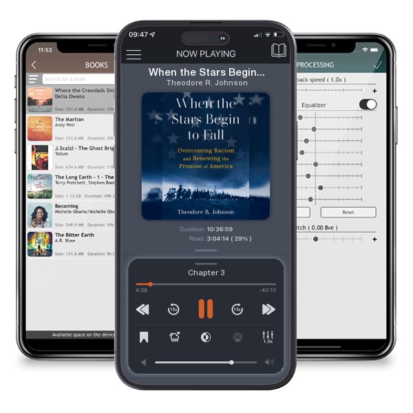 Download fo free audiobook When the Stars Begin to Fall: Overcoming Racism and Renewing the Promise of America by Theodore R. Johnson and listen anywhere on your iOS devices in the ListenBook app.