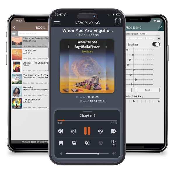 Download fo free audiobook When You Are Engulfed in Flames by David Sedaris and listen anywhere on your iOS devices in the ListenBook app.