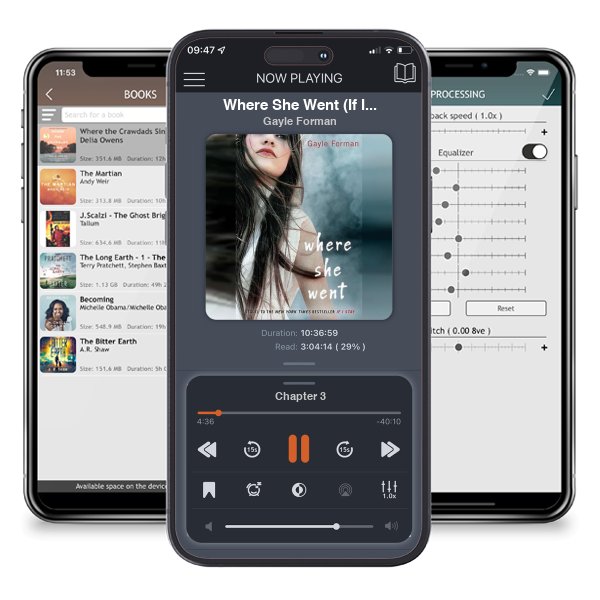 Download fo free audiobook Where She Went (If I Stay, #2) by Gayle Forman and listen anywhere on your iOS devices in the ListenBook app.