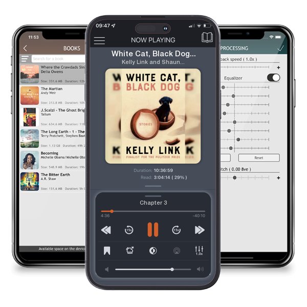 Download fo free audiobook White Cat, Black Dog: Stories by Kelly Link and Shaun Tan and listen anywhere on your iOS devices in the ListenBook app.