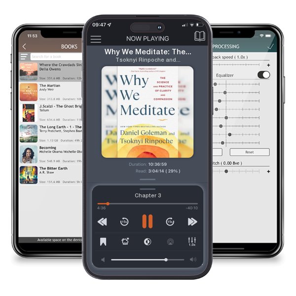 Download fo free audiobook Why We Meditate: The Science and Practice of Clarity and... by Tsoknyi Rinpoche and Daniel Goleman and listen anywhere on your iOS devices in the ListenBook app.