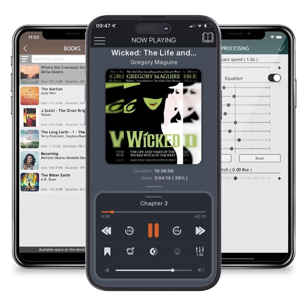 Download fo free audiobook Wicked: The Life and Times of the Wicked Witch of the West by Gregory Maguire and listen anywhere on your iOS devices in the ListenBook app.