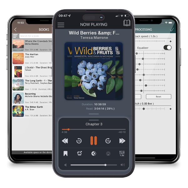 Download fo free audiobook Wild Berries & Fruits Field Guide of Minnesota, Wisconsin & Michigan (Wild Berries & Fruits Identification Guides) by Teresa Marrone and listen anywhere on your iOS devices in the ListenBook app.