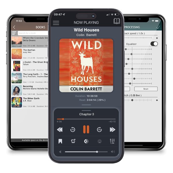 Download fo free audiobook Wild Houses by Colin Barrett and listen anywhere on your iOS devices in the ListenBook app.