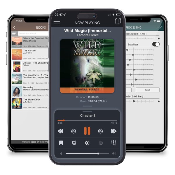 Download fo free audiobook Wild Magic (Immortals, #1) by Tamora Pierce and listen anywhere on your iOS devices in the ListenBook app.