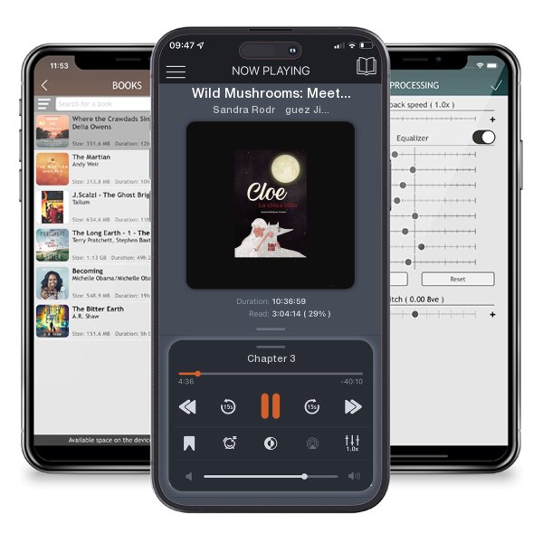 Download fo free audiobook Wild Mushrooms: Meeting Eternity by Sandra Rodríguez Jiménez and listen anywhere on your iOS devices in the ListenBook app.