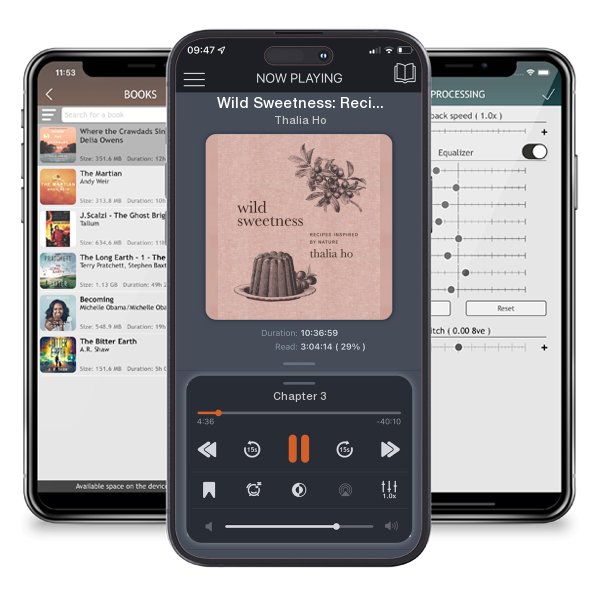 Download fo free audiobook Wild Sweetness: Recipes Inspired by Nature by Thalia Ho and listen anywhere on your iOS devices in the ListenBook app.