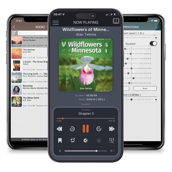 Download fo free audiobook Wildflowers of Minnesota Field Guide by Stan Tekiela and listen anywhere on your iOS devices in the ListenBook app.