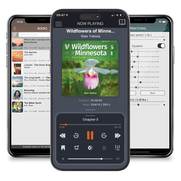 Download fo free audiobook Wildflowers of Minnesota Field Guide by Stan Tekiela and listen anywhere on your iOS devices in the ListenBook app.