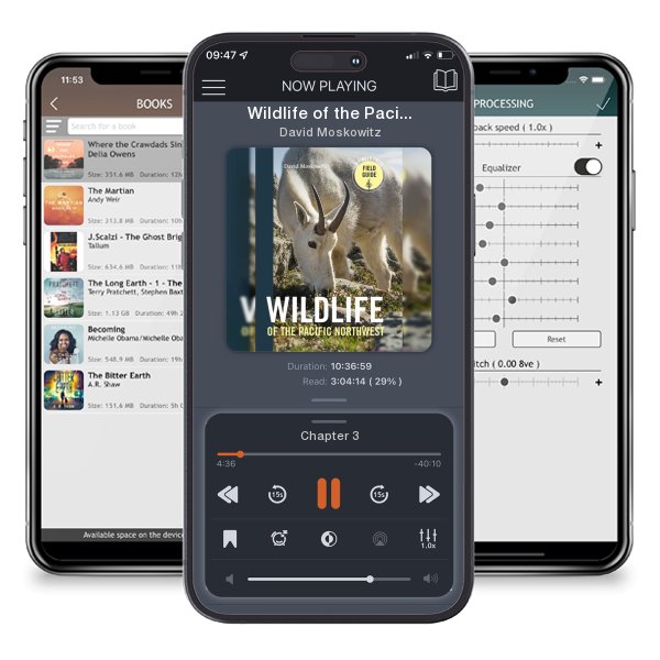 Download fo free audiobook Wildlife of the Pacific Northwest: Tracking and Identifying... by David Moskowitz and listen anywhere on your iOS devices in the ListenBook app.