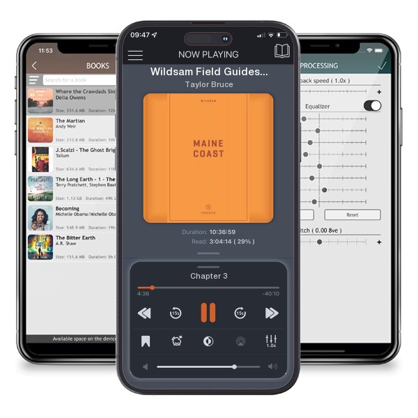 Download fo free audiobook Wildsam Field Guides Maine Coast by Taylor Bruce and listen anywhere on your iOS devices in the ListenBook app.