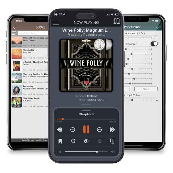 Download fo free audiobook Wine Folly: Magnum Edition: The Master Guide by Madeline Puckette and Justin Hammack and listen anywhere on your iOS devices in the ListenBook app.