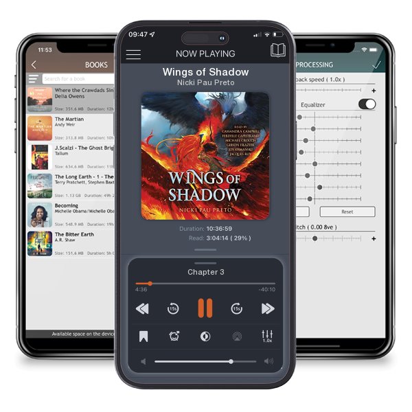 Download fo free audiobook Wings of Shadow by Nicki Pau Preto and listen anywhere on your iOS devices in the ListenBook app.
