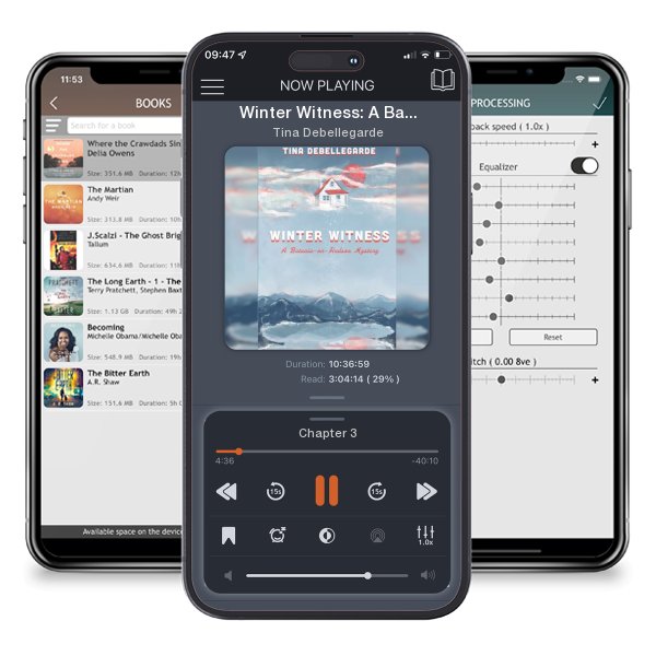 Download fo free audiobook Winter Witness: A Batavia-on-Hudson Mystery by Tina Debellegarde and listen anywhere on your iOS devices in the ListenBook app.