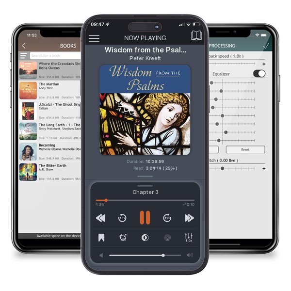 Download fo free audiobook Wisdom from the Psalms by Peter Kreeft and listen anywhere on your iOS devices in the ListenBook app.