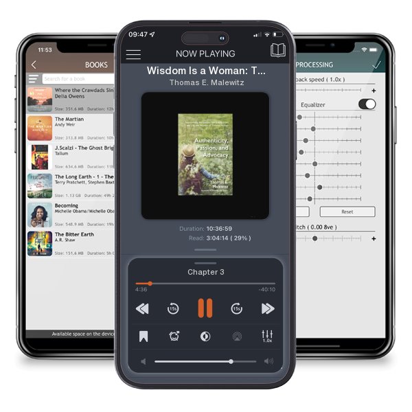 Download fo free audiobook Wisdom Is a Woman: The Canonical Metaphor of Lady Wisdom in Proverbs 1–9 Understood in Light of Theological Aesthetics by Thomas E. Malewitz and listen anywhere on your iOS devices in the ListenBook app.