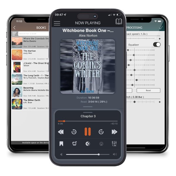 Download fo free audiobook Witchbone Book One ~ The Goblin\'s Winter: a paranormal fairy tale by Alex Norton and listen anywhere on your iOS devices in the ListenBook app.