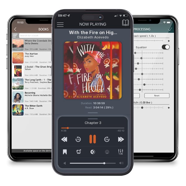 Download fo free audiobook With the Fire on High by Elizabeth Acevedo and listen anywhere on your iOS devices in the ListenBook app.