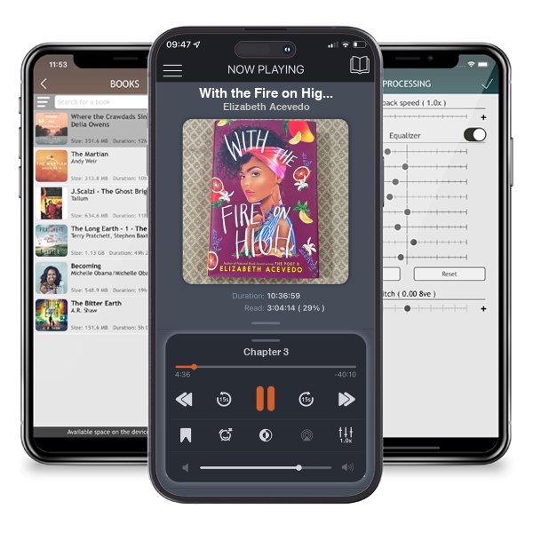 Download fo free audiobook With the Fire on High by Elizabeth Acevedo and listen anywhere on your iOS devices in the ListenBook app.