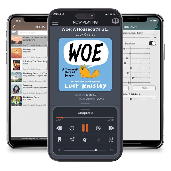 Download fo free audiobook Woe: A Housecat's Story of Despair: (A Graphic Novel) by Lucy Knisley and listen anywhere on your iOS devices in the ListenBook app.