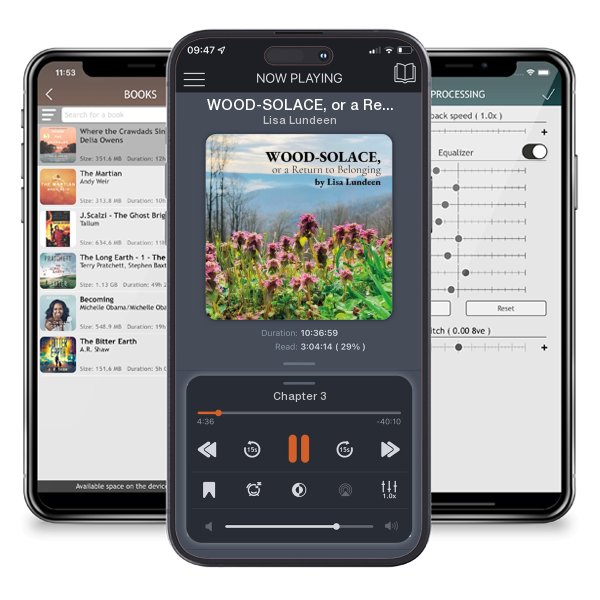 Download fo free audiobook WOOD-SOLACE, or a Return to Belonging by Lisa Lundeen and listen anywhere on your iOS devices in the ListenBook app.