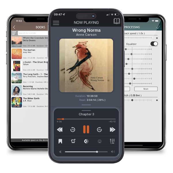 Download fo free audiobook Wrong Norma by Anne Carson and listen anywhere on your iOS devices in the ListenBook app.