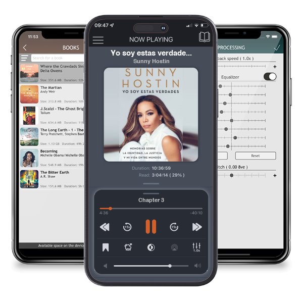 Descargar audiolibro gratis Yo soy estas verdades: Memorias sobre la identidad, la justicia y mi vida entre mundos (I Am These Truths) by Sunny Hostin y escuchar en cualquier lugar en sus dispositivos iOS en la aplicación ListenBook.