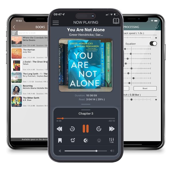 Download fo free audiobook You Are Not Alone by Greer Hendricks; Sarah Pekkanen and listen anywhere on your iOS devices in the ListenBook app.