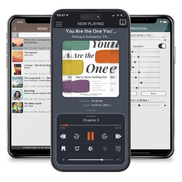 Download fo free audiobook You Are the One You've Been Waiting For: Applying Internal Family Systems to Intimate Relationships by Richard Schwartz, Ph.D. and listen anywhere on your iOS devices in the ListenBook app.